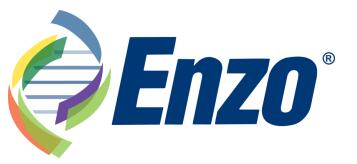 Enzo logo.jpg