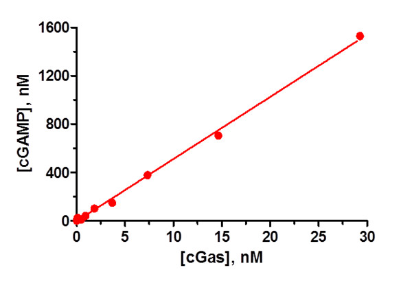 cGAS和 cGAMP 线性