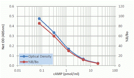 Standard_curve_-_Acetylated.gif