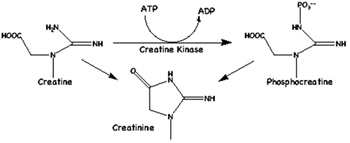 907-030A_diagram.jpg