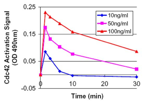 使用EGF在42，10和50ng / ml下激活Cdc100的时间过程