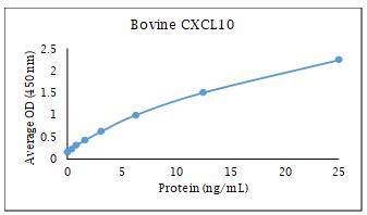 牛 CXCL10 (IP-10) ELISA DIY 试剂盒