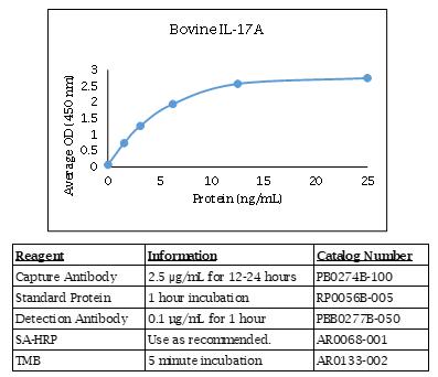 牛 IL-17A ELISA