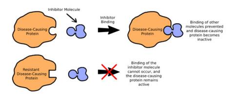 PROTACs-1.jpg