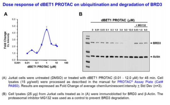 PROTAC-3.jpg