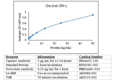 Chicken IFN-γ.jpg