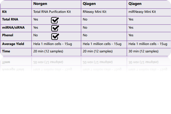 microRNA-1.png