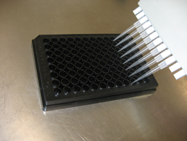 Lipid Quantification Kit.jpg