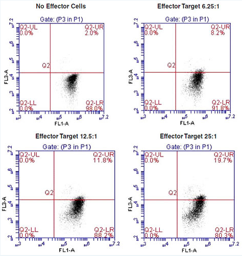 flow cytometry.png