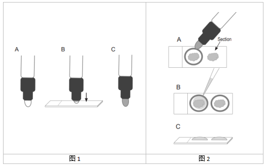 免疫组化笔 SuperHT PAP Pen