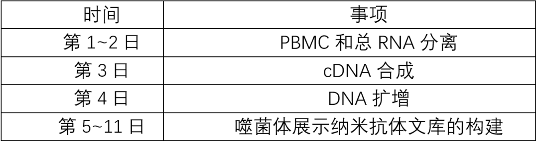 纳米抗体噬菌体免疫库服务