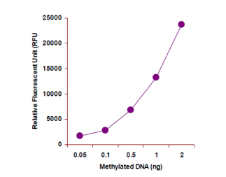 Methylated DNA Quantification.png