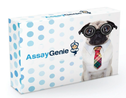 Assay Genie