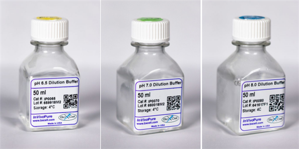 BioXCell体内抗体稀释液