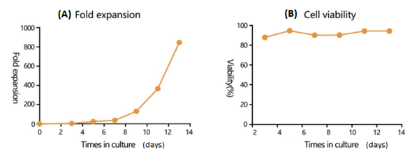 Human T-Activator CD3-1.png