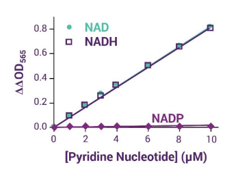 NAD/NADH比率测定试剂盒