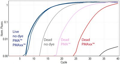 在qPCR之前用PMA或PMAxx?处理过的活细菌或死细菌