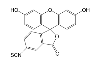 异硫氰酸荧光素