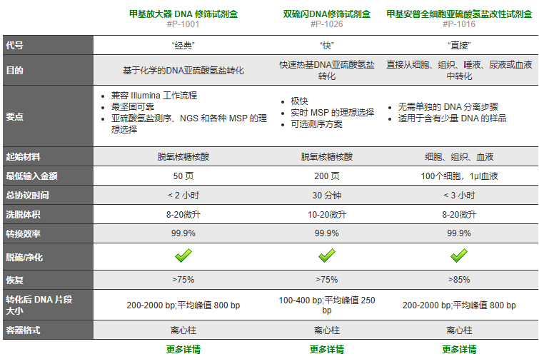 DNA亚硫酸氢盐转化