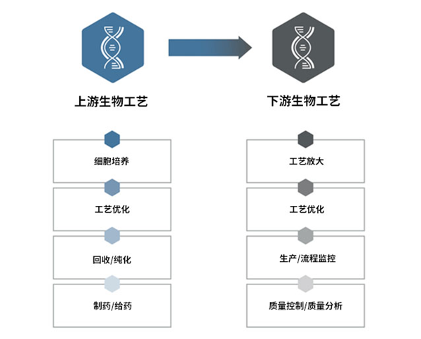 Bioprocess.png