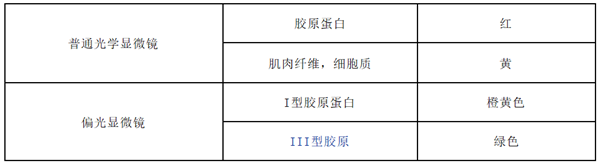 天狼星红染色液