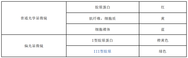 天狼星红染色试剂盒