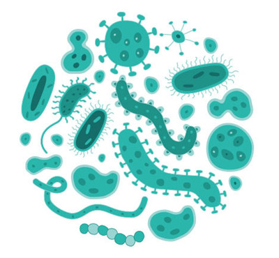 微生物组DNA提取试剂盒