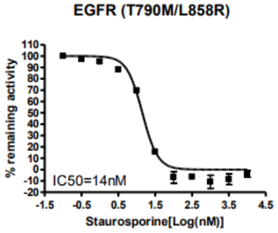 EGFR（T790M/L858R）激酶检测试剂盒
