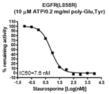 EGFR(L858R)激酶检测试剂盒
