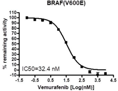 BRAF（V600E）激酶检测试剂盒