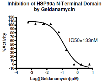 HSP90α N-末端结构域检测试剂盒