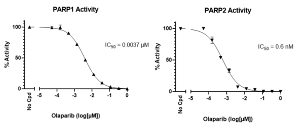 Colorimetric Assay Kit.png