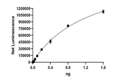 Acetyltransferase-1.png