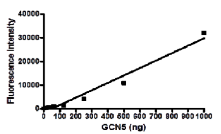 Acetyltransferase-2.png