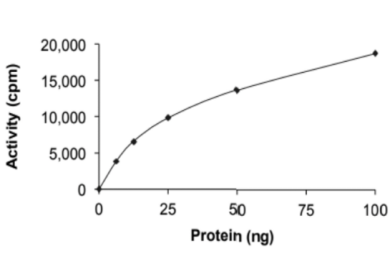 Acetyltransferase-3.png