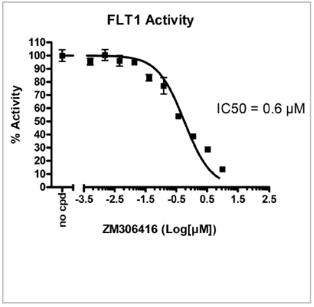 FLT1激酶测定试剂盒