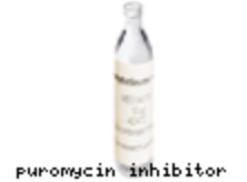 嘌呤霉素Puromycin，抑制剂