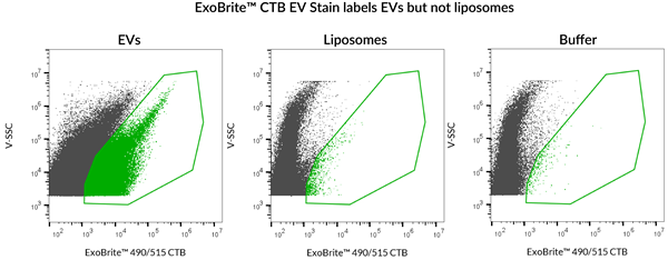 ExoBrite? CTB EV-2.png