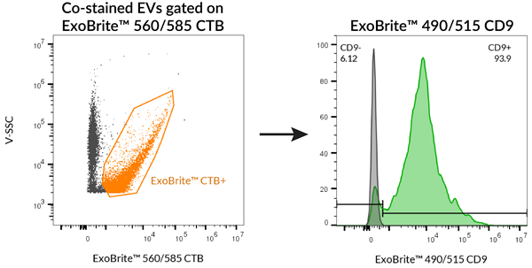 ExoBrite? CTB EV-3.png