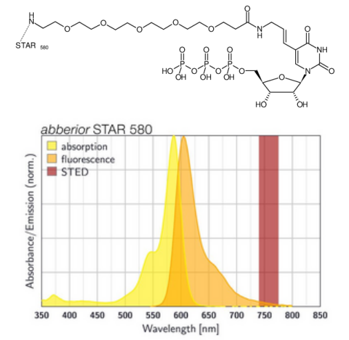 Aminoallyl-UTP-PEG5-STAR 580.png