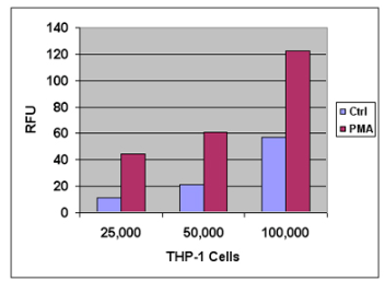 leukocyte-endothelium-adhesion-assay-1.png