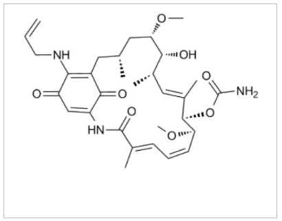 17-AAG