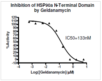 HSP90α N末端结构域检测试剂盒