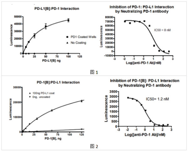 靶向PD-1/PD-L1相互作用的抑制剂筛选试剂盒