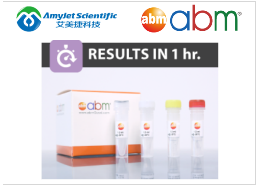 Abm-qPCR 逆转录病毒滴度试剂盒