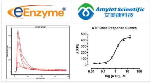 eENZYME