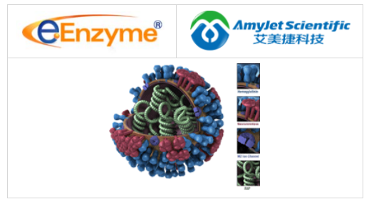 eENZYME