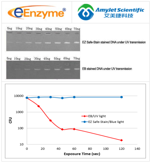 eENZYME