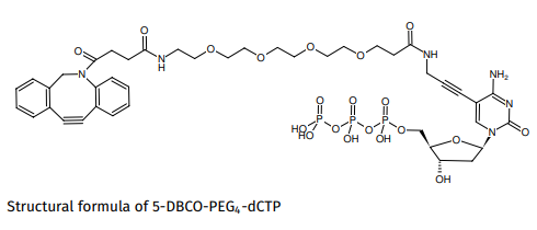 5-DBCO-PEG4-dCTP.png