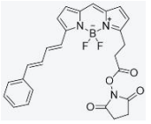 BODIPY 581/591 琥珀酰亚胺酯